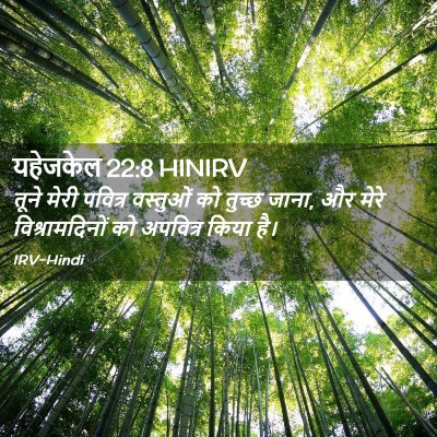 Picture 02 - यहेजकेल 22:8 HINIRV - तूने मेरी पवित्र - Bible Verse Picture