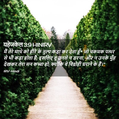 Picture 02 - यहेजकेल 3:9 HINIRV - मैं तेरे माथे को - Bible Verse Picture