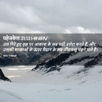 Picture 02 - यहेजकेल 31:13 HINIRV - उस गिरे हुए वृक्ष - Bible Verse Picture