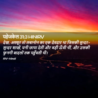 Picture 02 - यहेजकेल 31:3 HINIRV - देख, अश्शूर तो - Bible Verse Picture