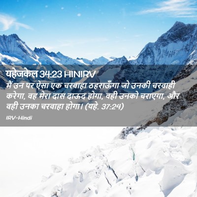 Picture 02 - यहेजकेल 34:23 HINIRV - मैं उन पर ऐसा एक - Bible Verse Picture