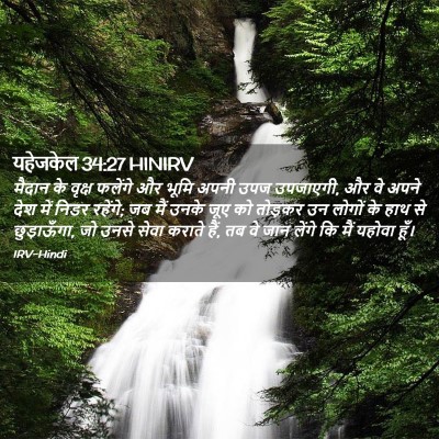 Picture 02 - यहेजकेल 34:27 HINIRV - मैदान के वृक्ष - Bible Verse Picture