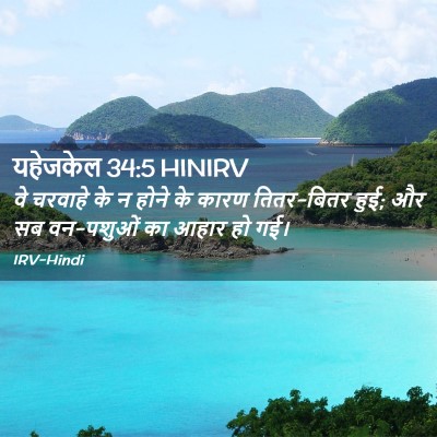 Picture 02 - यहेजकेल 34:5 HINIRV - वे चरवाहे के न होने - Bible Verse Picture