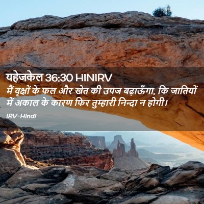 Picture 02 - यहेजकेल 36:30 HINIRV - मैं वृक्षों के फल - Bible Verse Picture