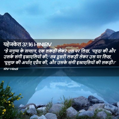 Picture 02 - यहेजकेल 37:16 HINIRV - “हे मनुष्य के - Bible Verse Picture