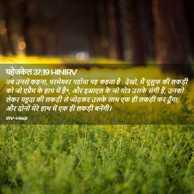 Picture 02 - यहेजकेल 37:19 HINIRV - तब उनसे कहना, - Bible Verse Picture