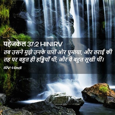 Picture 02 - यहेजकेल 37:2 HINIRV - तब उसने मुझे उनके - Bible Verse Picture