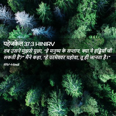 Picture 02 - यहेजकेल 37:3 HINIRV - तब उसने मुझसे पूछा, - Bible Verse Picture