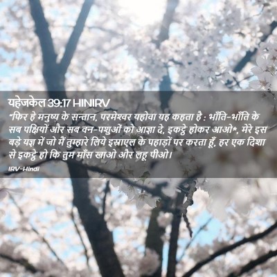 Picture 02 - यहेजकेल 39:17 HINIRV - “फिर हे मनुष्य के - Bible Verse Picture