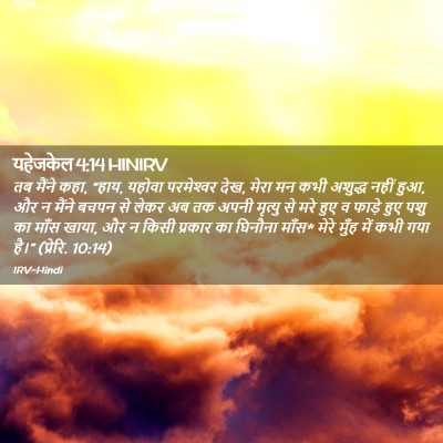 Picture 02 - यहेजकेल 4:14 HINIRV - तब मैंने कहा, “हाय, - Bible Verse Picture