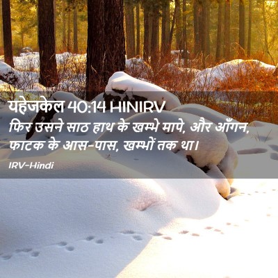 Picture 02 - यहेजकेल 40:14 HINIRV - फिर उसने साठ हाथ के - Bible Verse Picture