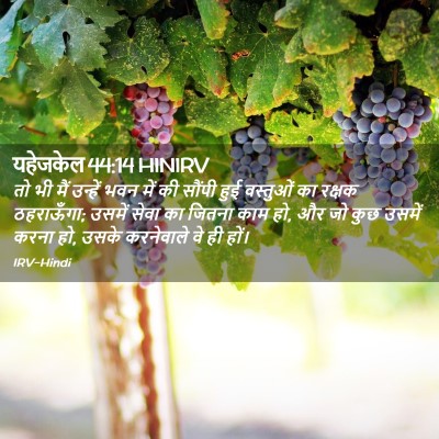 Picture 02 - यहेजकेल 44:14 HINIRV - तो भी मैं उन्हें - Bible Verse Picture