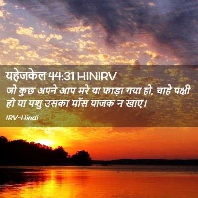 Picture 02 - यहेजकेल 44:31 HINIRV - जो कुछ अपने आप मरे - Bible Verse Picture