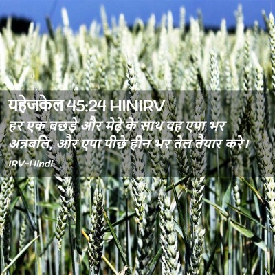Picture 02 - यहेजकेल 45:24 HINIRV - हर एक बछड़े और - Bible Verse Picture