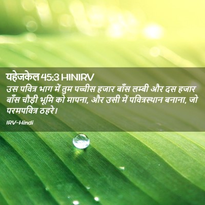 Picture 02 - यहेजकेल 45:3 HINIRV - उस पवित्र भाग में - Bible Verse Picture