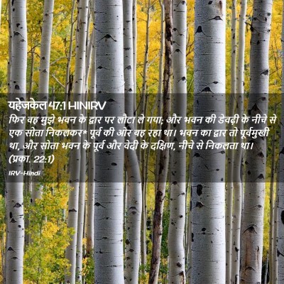 Picture 02 - यहेजकेल 47:1 HINIRV - फिर वह मुझे भवन के - Bible Verse Picture