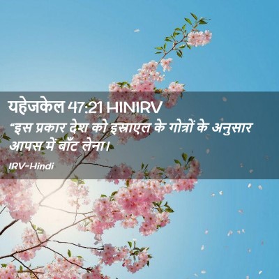 Picture 02 - यहेजकेल 47:21 HINIRV - “इस प्रकार देश को - Bible Verse Picture