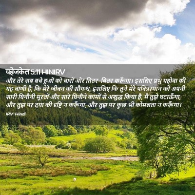 Picture 02 - यहेजकेल 5:11 HINIRV - और तेरे सब बचे हुओं - Bible Verse Picture