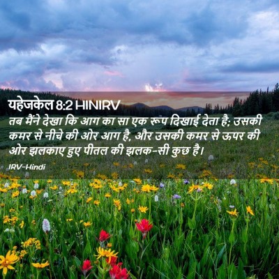 Picture 02 - यहेजकेल 8:2 HINIRV - तब मैंने देखा कि आग - Bible Verse Picture