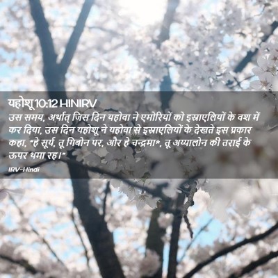 Picture 02 - यहोशू 10:12 HINIRV - उस समय, अर्थात् जिस - Bible Verse Picture