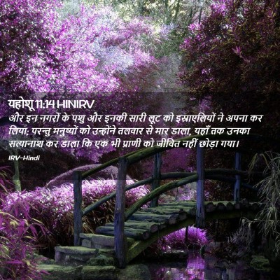 Picture 02 - यहोशू 11:14 HINIRV - और इन नगरों के पशु - Bible Verse Picture