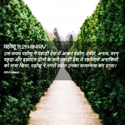 Picture 02 - यहोशू 11:21 HINIRV - उस समय यहोशू ने - Bible Verse Picture