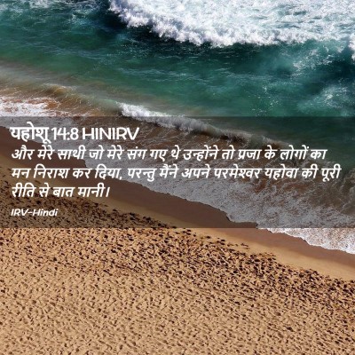 Picture 02 - यहोशू 14:8 HINIRV - और मेरे साथी जो - Bible Verse Picture