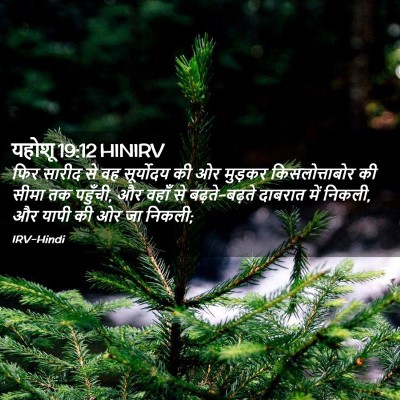 Picture 02 - यहोशू 19:12 HINIRV - फिर सारीद से वह - Bible Verse Picture