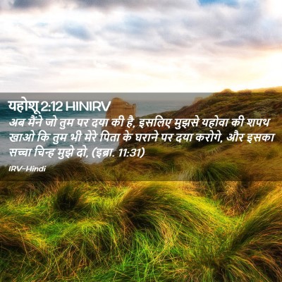 Picture 02 - यहोशू 2:12 HINIRV - अब मैंने जो तुम पर - Bible Verse Picture