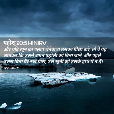 Picture 02 - यहोशू 20:5 HINIRV - और यदि खून का पलटा - Bible Verse Picture