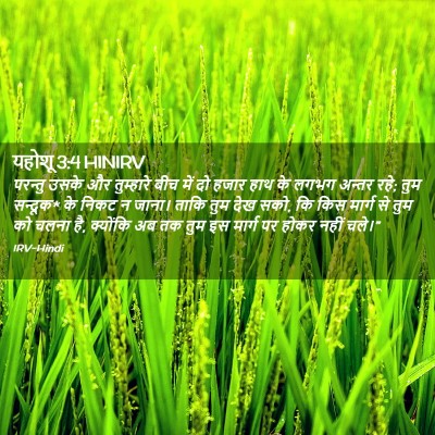 Picture 02 - यहोशू 3:4 HINIRV - परन्तु उसके और - Bible Verse Picture