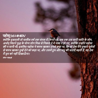 Picture 02 - यहोशू 5:6 HINIRV - क्योंकि इस्राएली - Bible Verse Picture