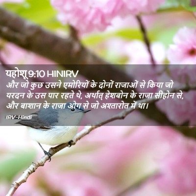 Picture 02 - यहोशू 9:10 HINIRV - और जो कुछ उसने - Bible Verse Picture