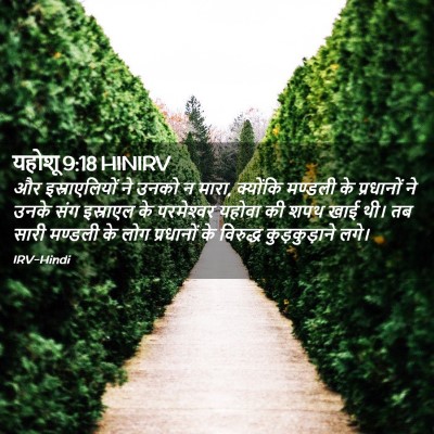 Picture 02 - यहोशू 9:18 HINIRV - और इस्राएलियों ने - Bible Verse Picture