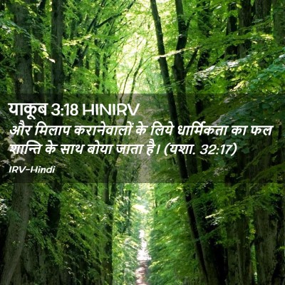 Picture 02 - याकूब 3:18 HINIRV - और मिलाप - Bible Verse Picture