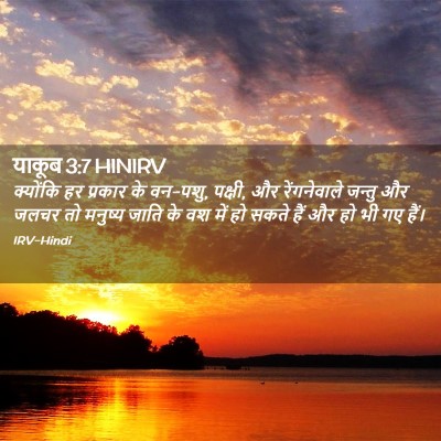 Picture 02 - याकूब 3:7 HINIRV - क्योंकि हर प्रकार - Bible Verse Picture