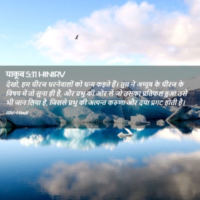 Picture 02 - याकूब 5:11 HINIRV - देखो, हम धीरज - Bible Verse Picture