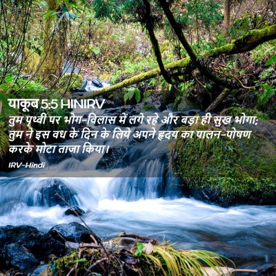 Picture 02 - याकूब 5:5 HINIRV - तुम पृथ्वी पर - Bible Verse Picture