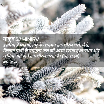 Picture 02 - याकूब 5:7 HINIRV - इसलिए हे भाइयों, - Bible Verse Picture