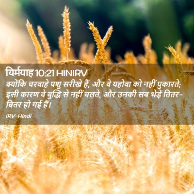 Picture 02 - यिर्मयाह 10:21 HINIRV - क्योंकि चरवाहे - Bible Verse Picture