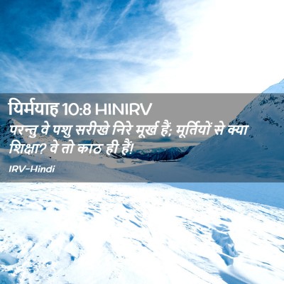 Picture 02 - यिर्मयाह 10:8 HINIRV - परन्तु वे पशु - Bible Verse Picture