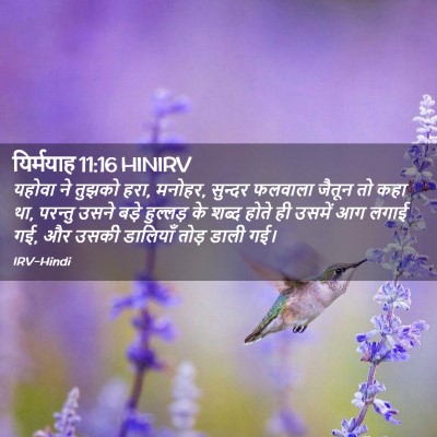 Picture 02 - यिर्मयाह 11:16 HINIRV - यहोवा ने तुझको हरा, - Bible Verse Picture