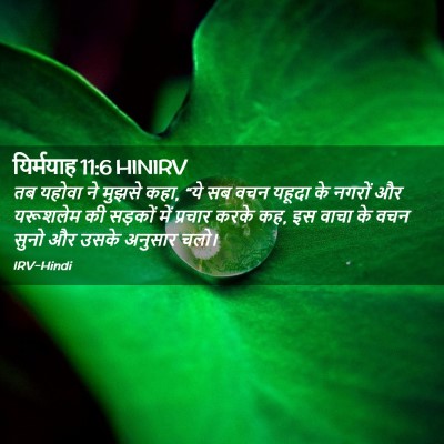 Picture 02 - यिर्मयाह 11:6 HINIRV - तब यहोवा ने मुझसे - Bible Verse Picture