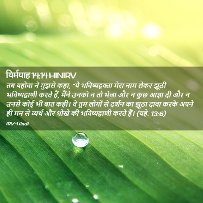 Picture 02 - यिर्मयाह 14:14 HINIRV - तब यहोवा ने मुझसे - Bible Verse Picture