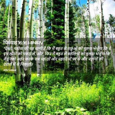 Picture 02 - यिर्मयाह 16:16 HINIRV - “देखो, यहोवा की यह - Bible Verse Picture