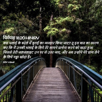 Picture 02 - यिर्मयाह 18:20 HINIRV - क्या भलाई के बदले - Bible Verse Picture