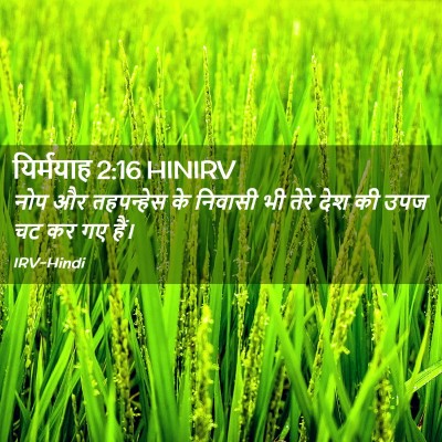 Picture 02 - यिर्मयाह 2:16 HINIRV - नोप और तहपन्हेस के - Bible Verse Picture