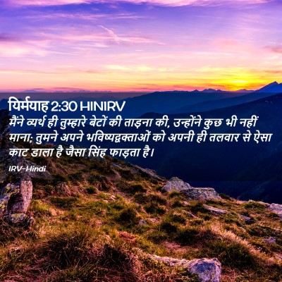 Picture 02 - यिर्मयाह 2:30 HINIRV - मैंने व्यर्थ ही - Bible Verse Picture