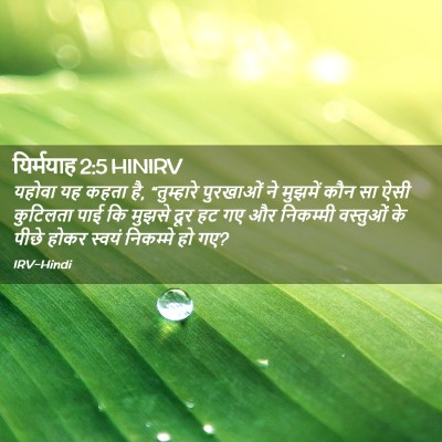 Picture 02 - यिर्मयाह 2:5 HINIRV - यहोवा यह कहता है, - Bible Verse Picture