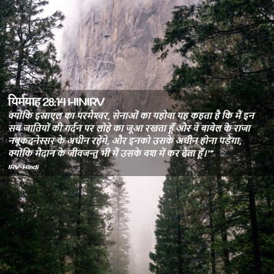 Picture 02 - यिर्मयाह 28:14 HINIRV - क्योंकि इस्राएल - Bible Verse Picture